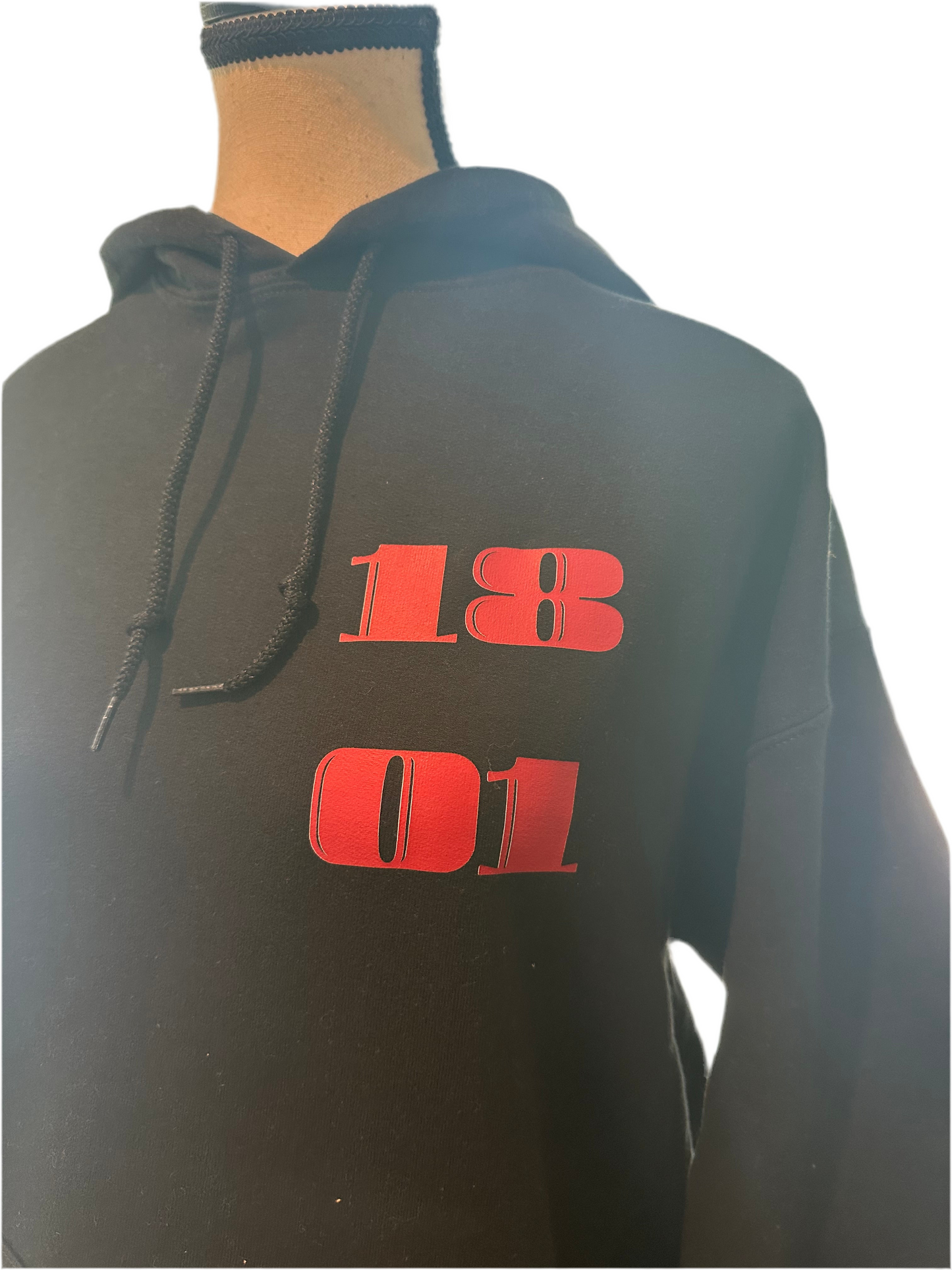 Gameday 1801 Hoodie