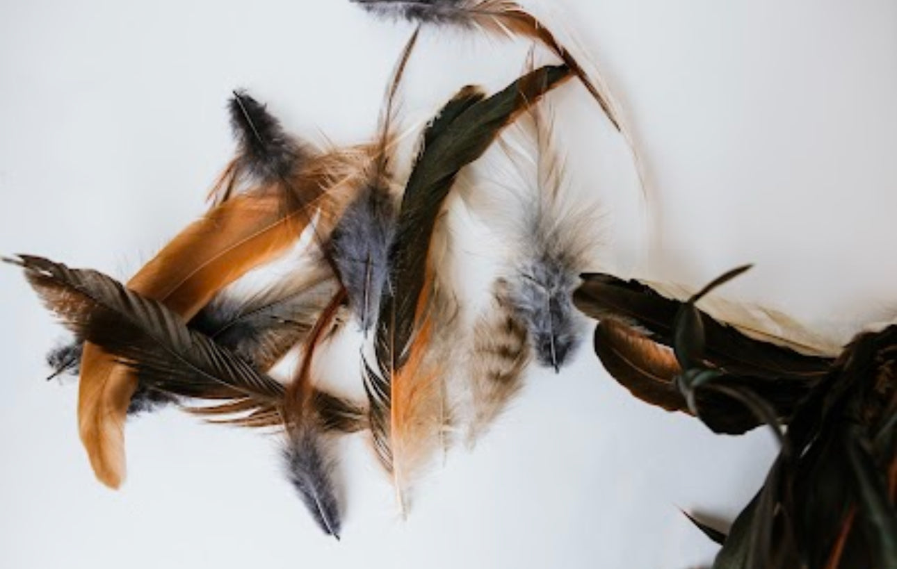 Feathers